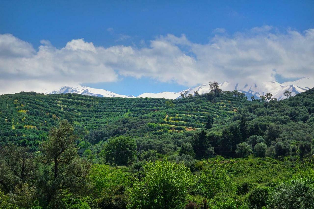 Anthos Village Agia  المظهر الخارجي الصورة